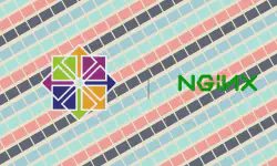 Featured image of post 修复 CentOS 中使用 Systemctl 启动 Nginx 无法反代理的问题