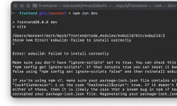 Featured image of post Vite 项目启动 esbuild 异常